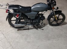Nama 80 kub, 2019 il