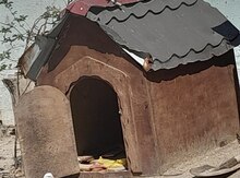 Yuva 