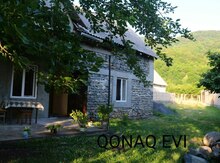 Həyət evi kirayə verilir, Zaqatala r.