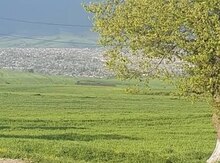 100 sot torpaq sahəsi, İsmayıllı r.