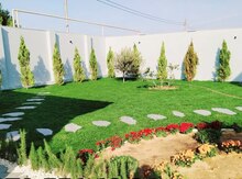 Qazon 