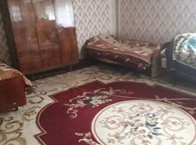 Həyət evi kirayə verilir, Gəncə ş.
