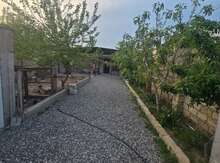 Həyət evi, Saray qəs.