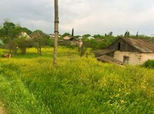 14 sot torpaq sahəsi, Tovuz r