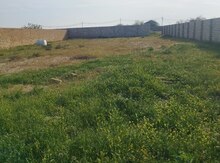 12 sot torpaq sahəsi, Nardaran qəs.