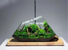Terrarium