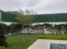 Yaşıl hasar 