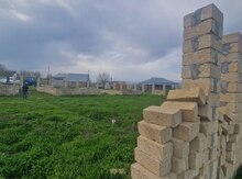 3300 sot torpaq sahəsi, Şamaxı ş.