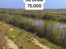 20000 sot torpaq sahəsi, Ağsu r.