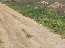 4 sot torpaq sahəsi, Sabunçu r