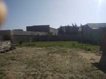 6 sot torpaq sahəsi, Albalı qəs.