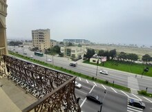 Ofis icarəyə verilir, 8 Noyabr pr.