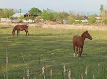 At