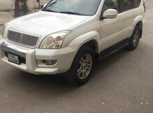 Toyota Prado, 2008 il