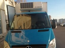 Soyuducu yük maşını icarəsi