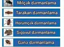 Dezinfeksiya xidməti