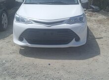 Toyota Corolla, 2019 il