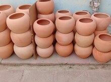 Saxsı dibçəklər 