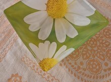 Salat qabı