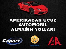 Avtomobil sifarişi