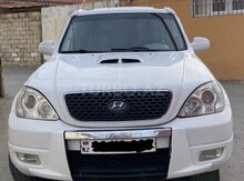 Hyundai Terracan, 2004 il
