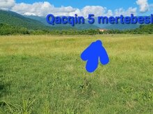 60 sot torpaq sahəsi, Zaqatala ş.