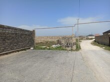 12 sot torpaq sahəsi, Türkan qəs.