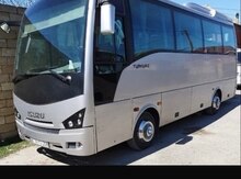 "İsuzu" avtobus sifarişi