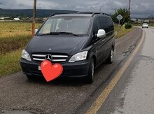 Avtobus, mikroavtobusların icarəsi