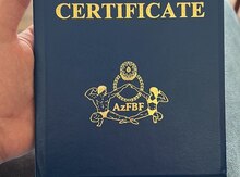 Məşqçi işi axtarıram 
