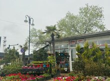 Resepşn işi axtarıram