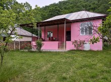 Həyət evi kirayə verilir, Qəbələ ş.