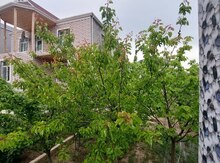 Həyət evi, Masazır qəs.