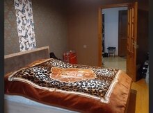 Çarpayı