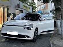 Avtomobil icarəsi