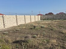 5 sot torpaq sahəsi, Yeni Türkan qəs.
