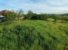 9 sot torpaq sahəsi, Qusar r.