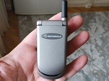 Motorola V50