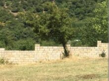 10 sot torpaq sahəsi, Zaqatala ş.