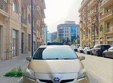 Toyota Prius, 2009 il