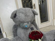 Oyuncaq ayı "Teddy"