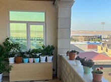 Həyət evi, Masazır qəs.