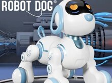Robot it
