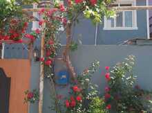Həyət evi, Masazır qəs.