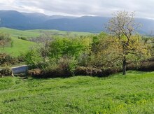 4 sot torpaq sahəsi, Quba r.