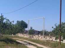 12 sot torpaq sahəsi, Nardaran qəs.