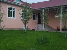 Bağ evi kirayə verilir, Vəndam qəs.