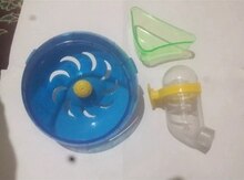 Dağsiçanı və tutuquşu üçün yem və su qabları