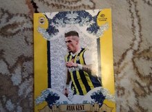 Fenerbahçe futbol kartı