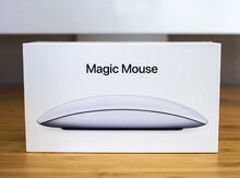 Apple magic mouse 